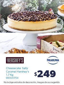 Cheesecake Salty