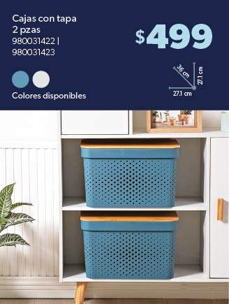 Cajas con tapa