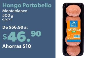 Hongo Portobello