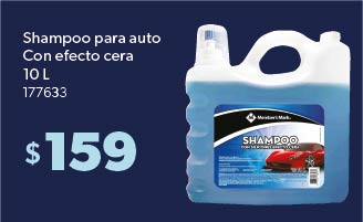 Shampoo para auto