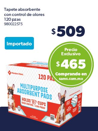 Tapete absorbente