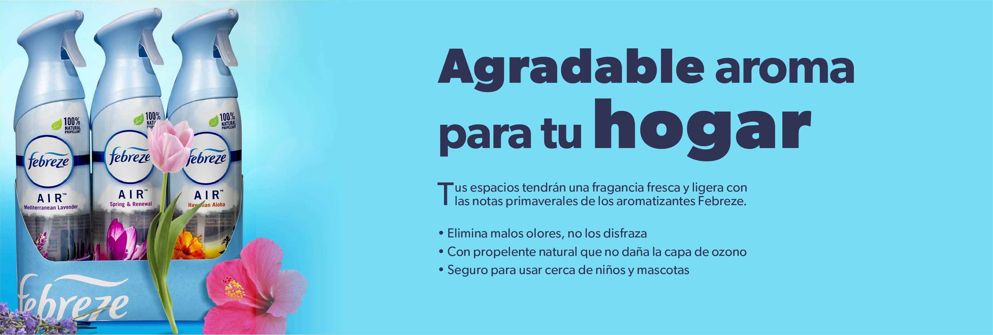 Agradable aroma para tu hogar