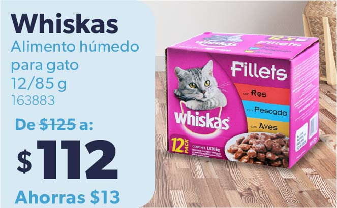 Alimento húmedo para gato