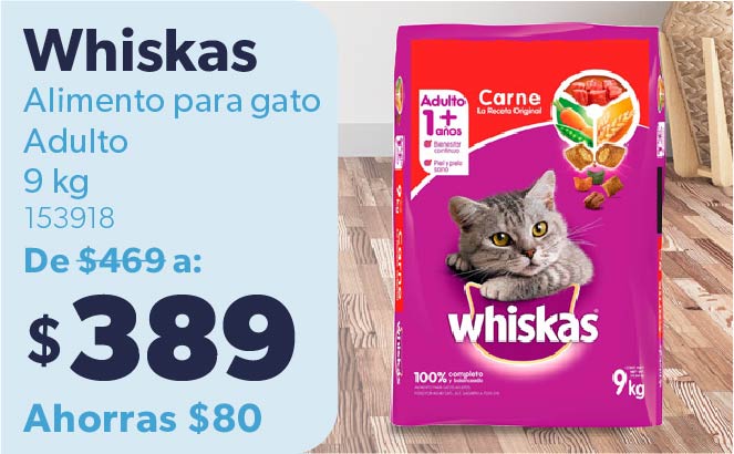 Alimento para gato