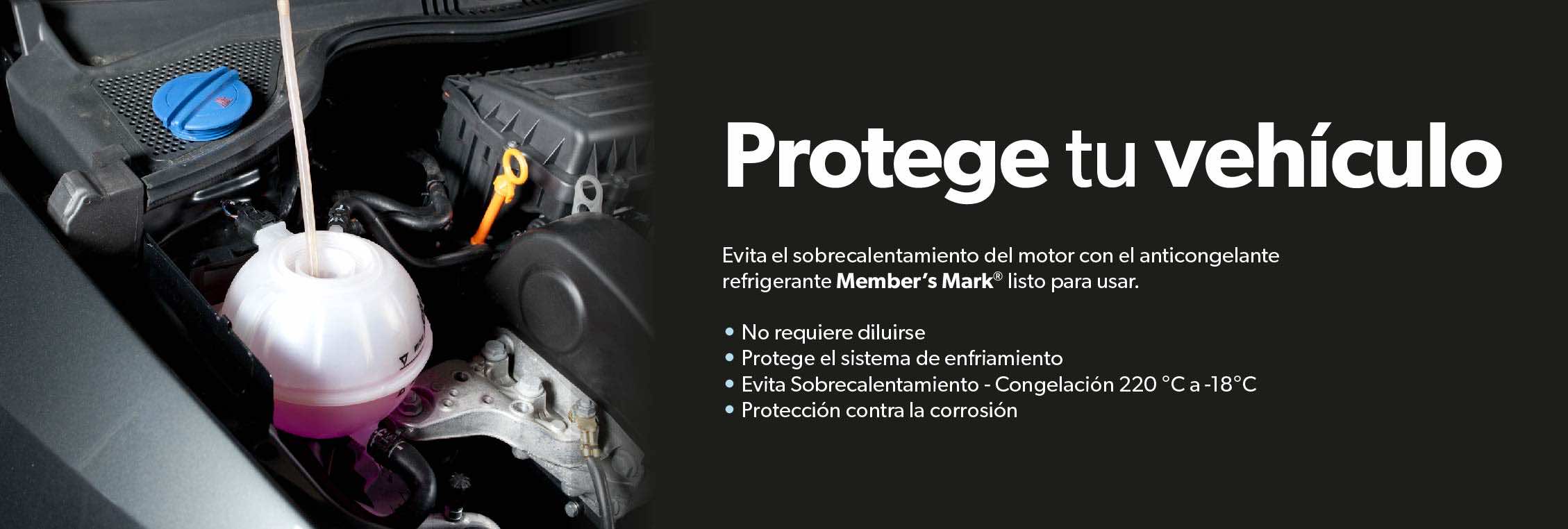 Protege tu vehiculo