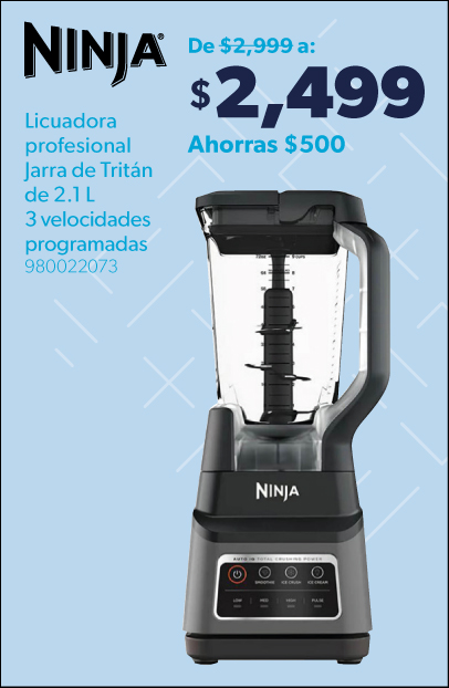 Licuadora profesional