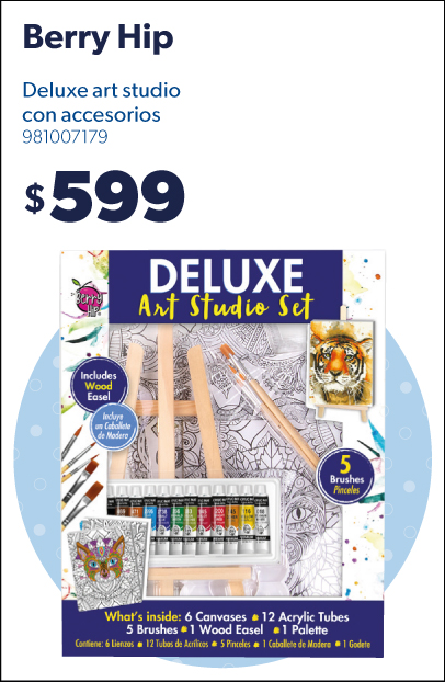 Delux Art Studio