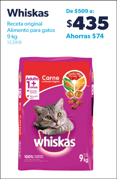 Alimento para gato adulto