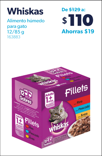 Alimento humedo para gato