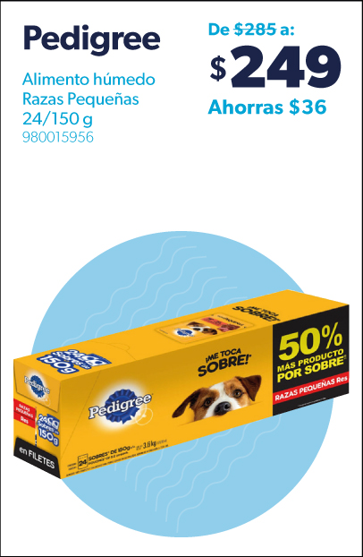 Alimento humedo razas pequenas