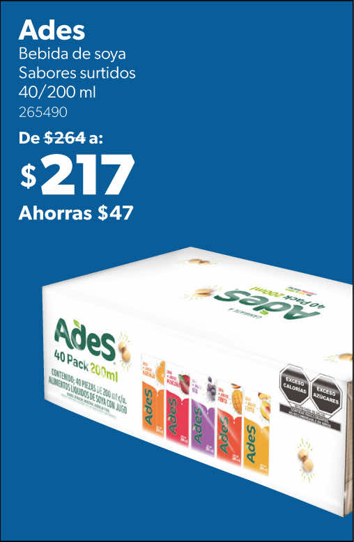 Bebida de soya sabores surtidos