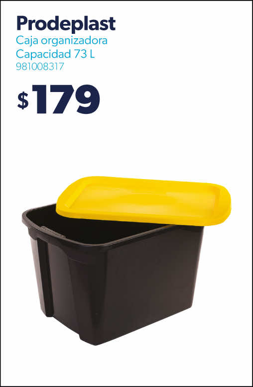 Caja organizadora