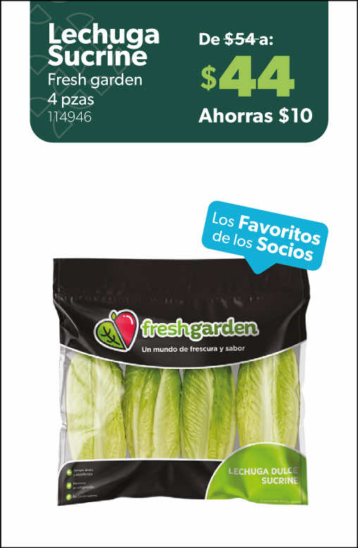 Lechuga sucrine
