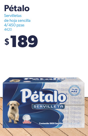 Servilletas de hoja sencilla