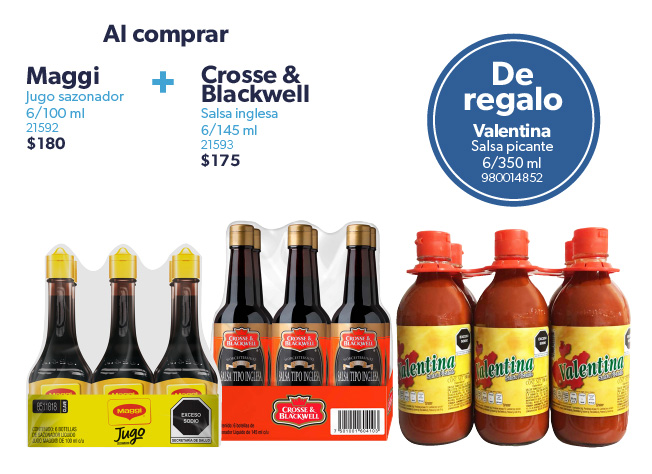 Jugo sazonador y salsa inglesa