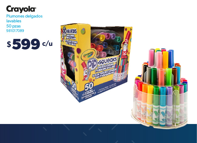 Set de plumones