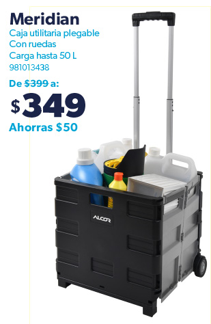 Caja utilitaria con ruedas