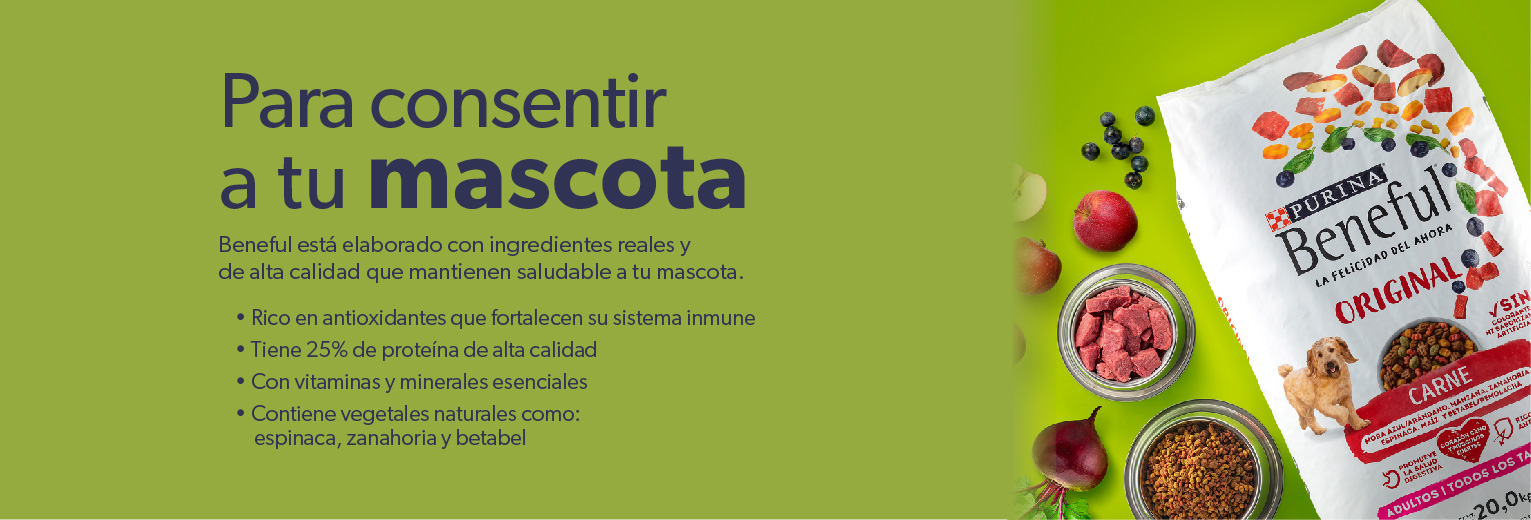 Para consentir a tu mascota
