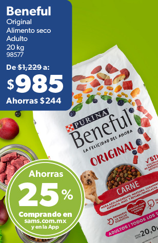 Alimento seco adulto
