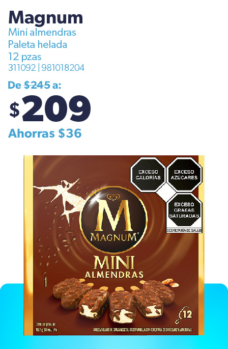 Paleta Magnum mini almendras