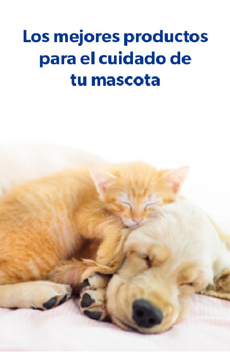 Los mejores productos para el cuidado de tu mascota