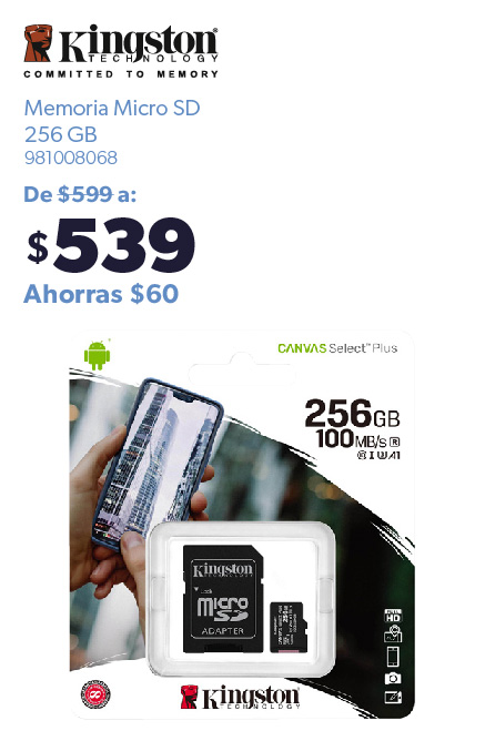 Memoria micro SD