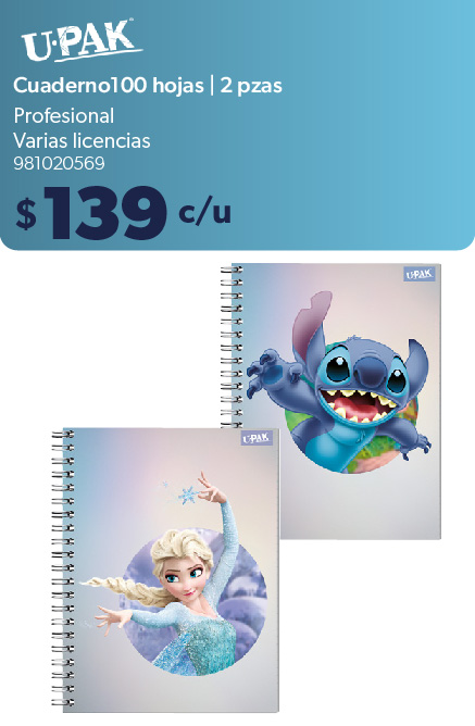 Cuaderno 100 hojas profesional