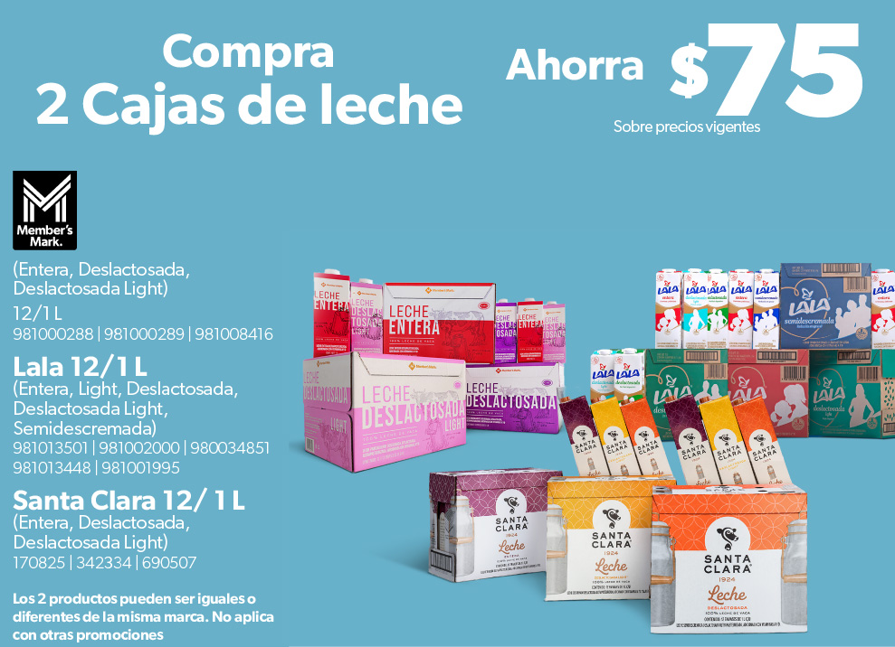 Leche varias presentaciones