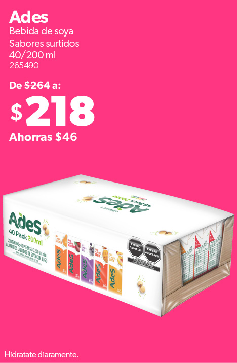 Bebida de soya sabores surtidos