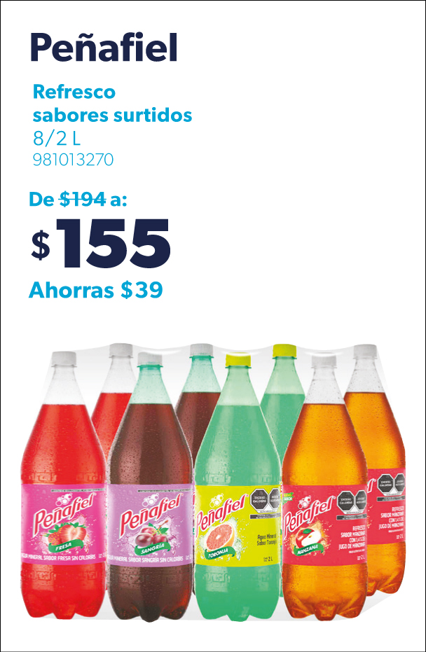 Refresco sabores surtidos