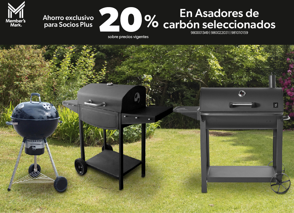 Asadores de carbon seleccionados