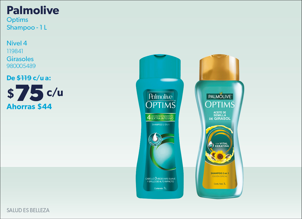 Shampoo Optims