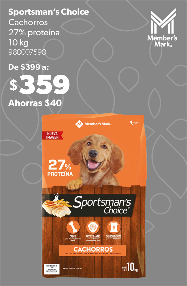 Aimento para perro cachorro