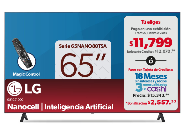 Pantalla 65"