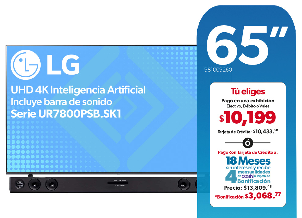 Pantalla 65"