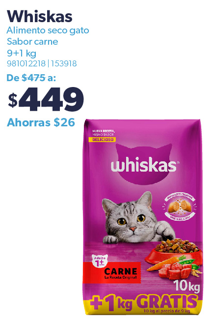 Alimento seco para gato