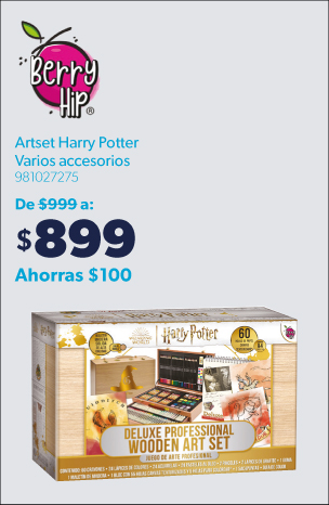 Art set de lujo Harry Potter