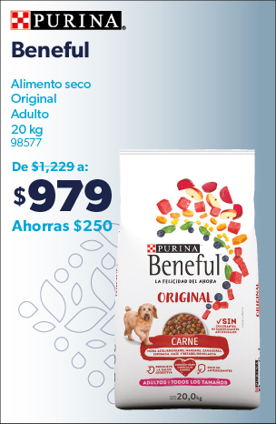 Beneful alimento seco