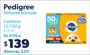 Alimento humedo cachorro