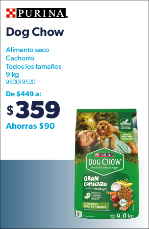 Dog Chow cachorro