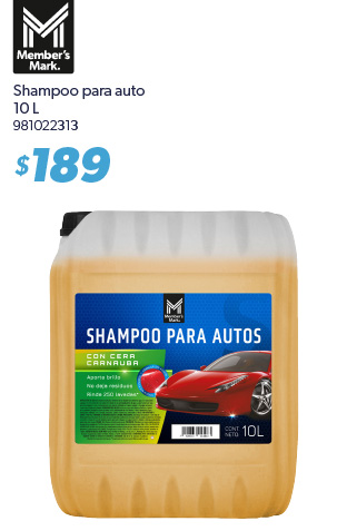 Shampoo para auto