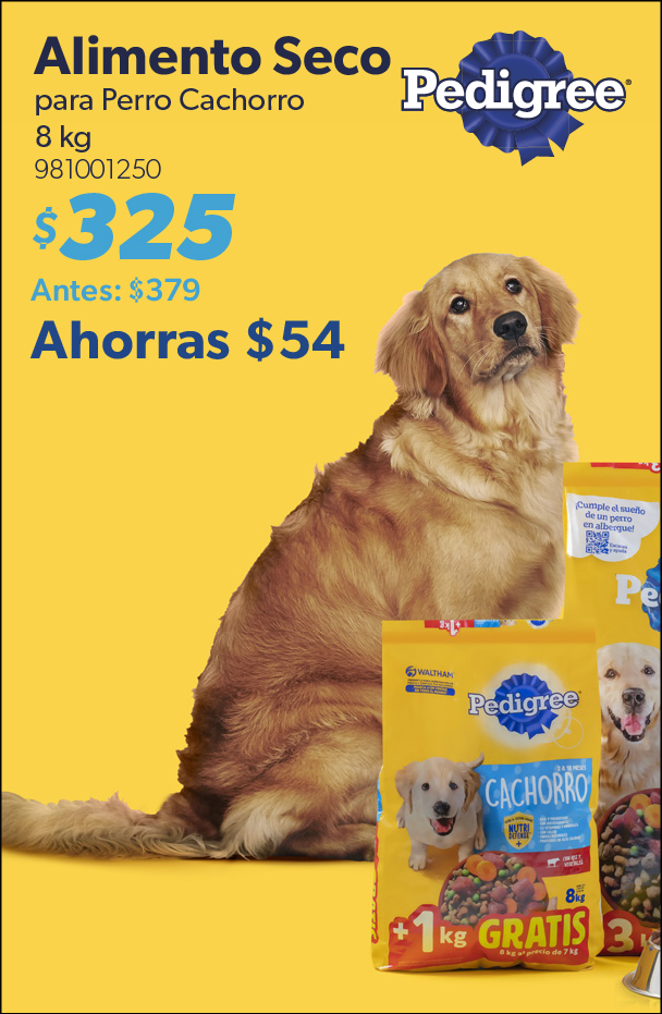 Alimento seco perro cachorro