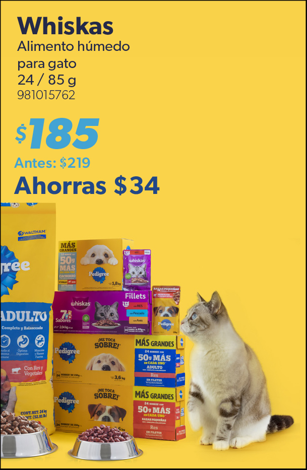 Alimento humedo para gato