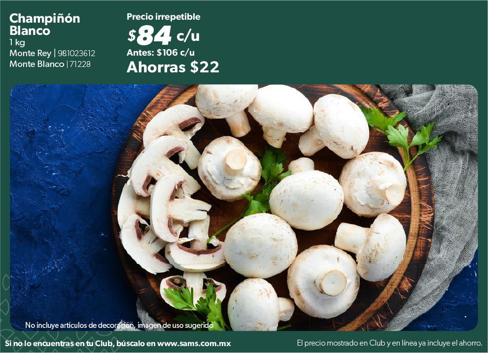 Champinon blanco