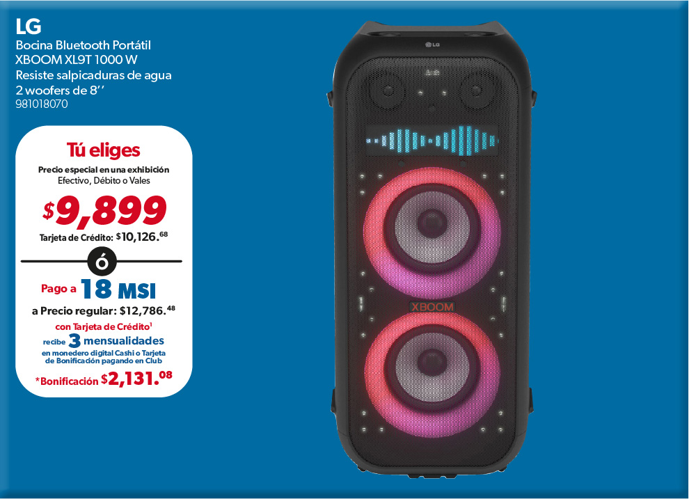 Bocina bluetooth portatil