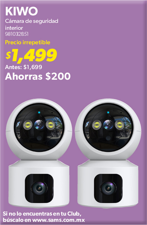 Camara de seguridad interior