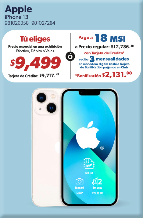 iPhone 13