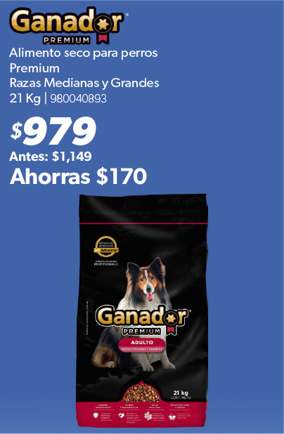 Alimento seco para perros