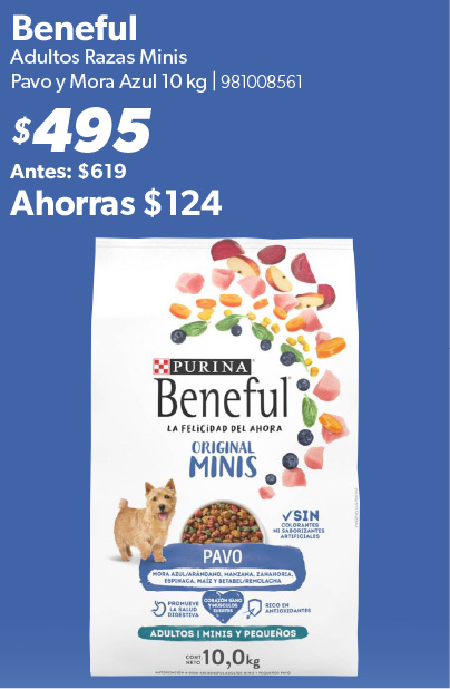 Alimento adultos razas minis