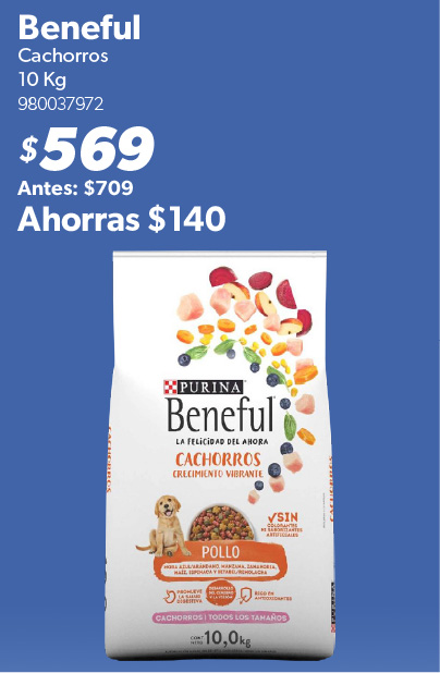 Alimento cachorros